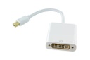 MINI DISPLAYPORT MALE TO DVI FEMALE ADAPTER