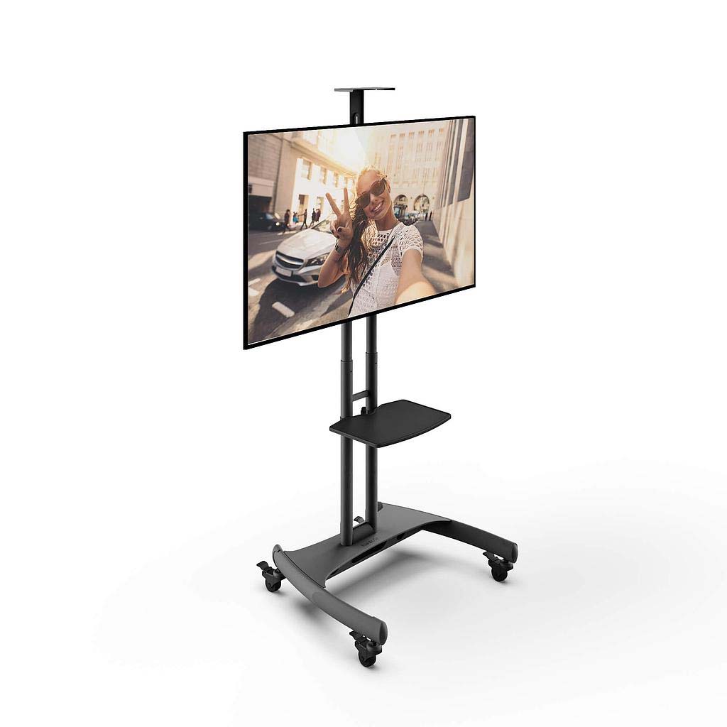 Audio/Video / AV Mounts / Flat Panel Carts & TV Stands