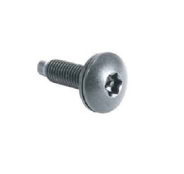 Torx screw with pin shop in middle