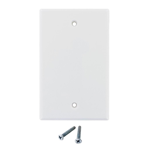 [WPBP] 1-GANG BLANK WALL PLATE - WHITE